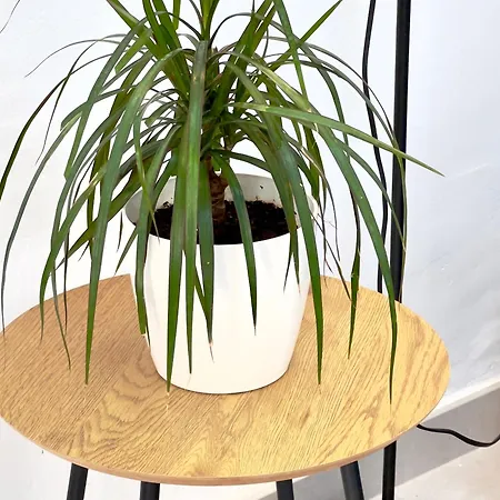 Salty Breeze In Center Of Апартаменты